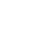 Icona Conoscici